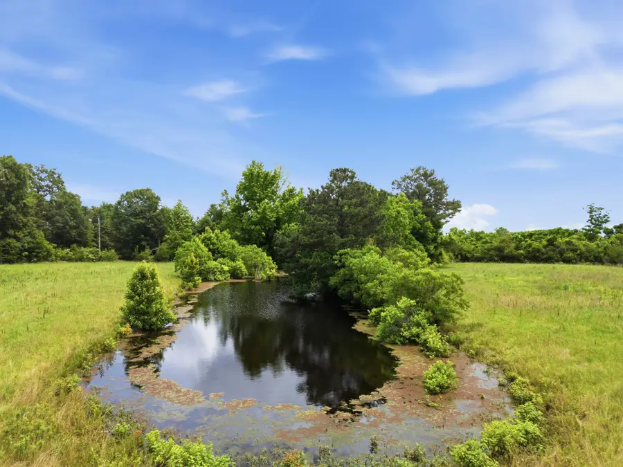 Lot 2 00 Ms Highway 29, Ovett, MS 39464 - #3