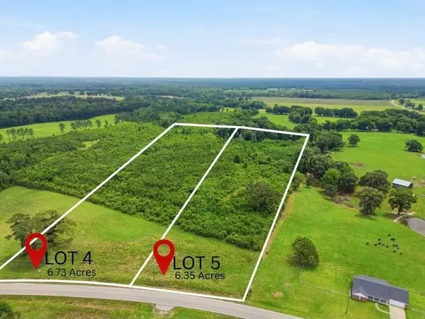 Lot 5 00 Ms Highway 29, Ovett, MS 39464