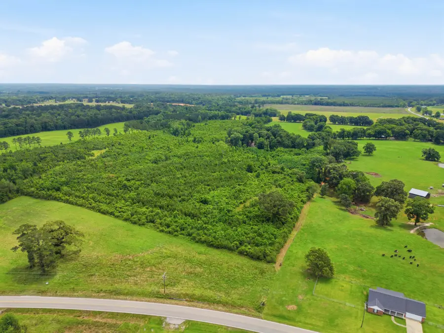Lot 5 00 Ms Highway 29, Ovett, MS 39464 - #3