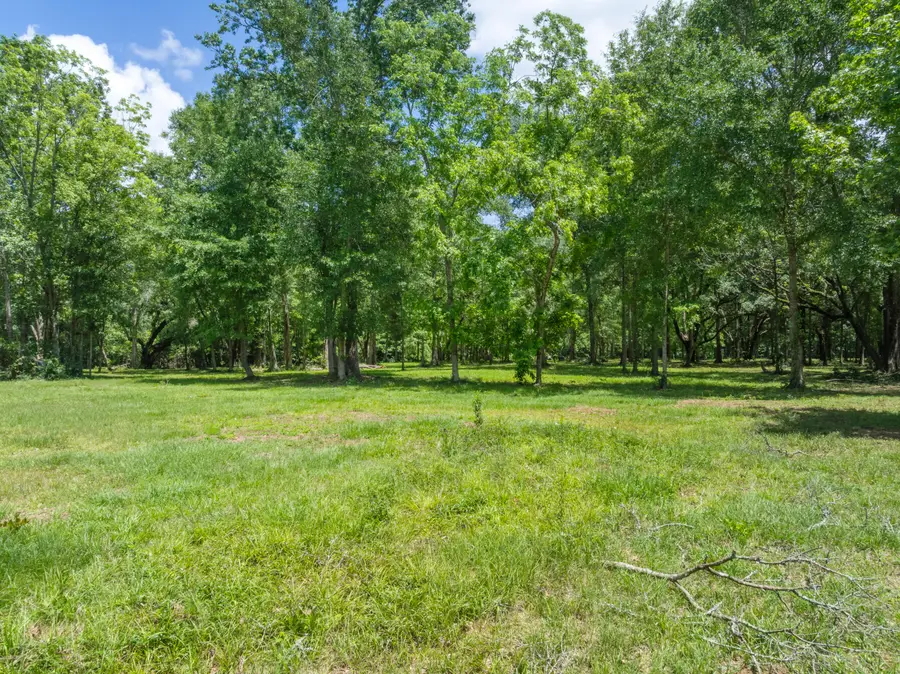 12.49 Acr F Z Goss, Picayune, MS 39466 - #2