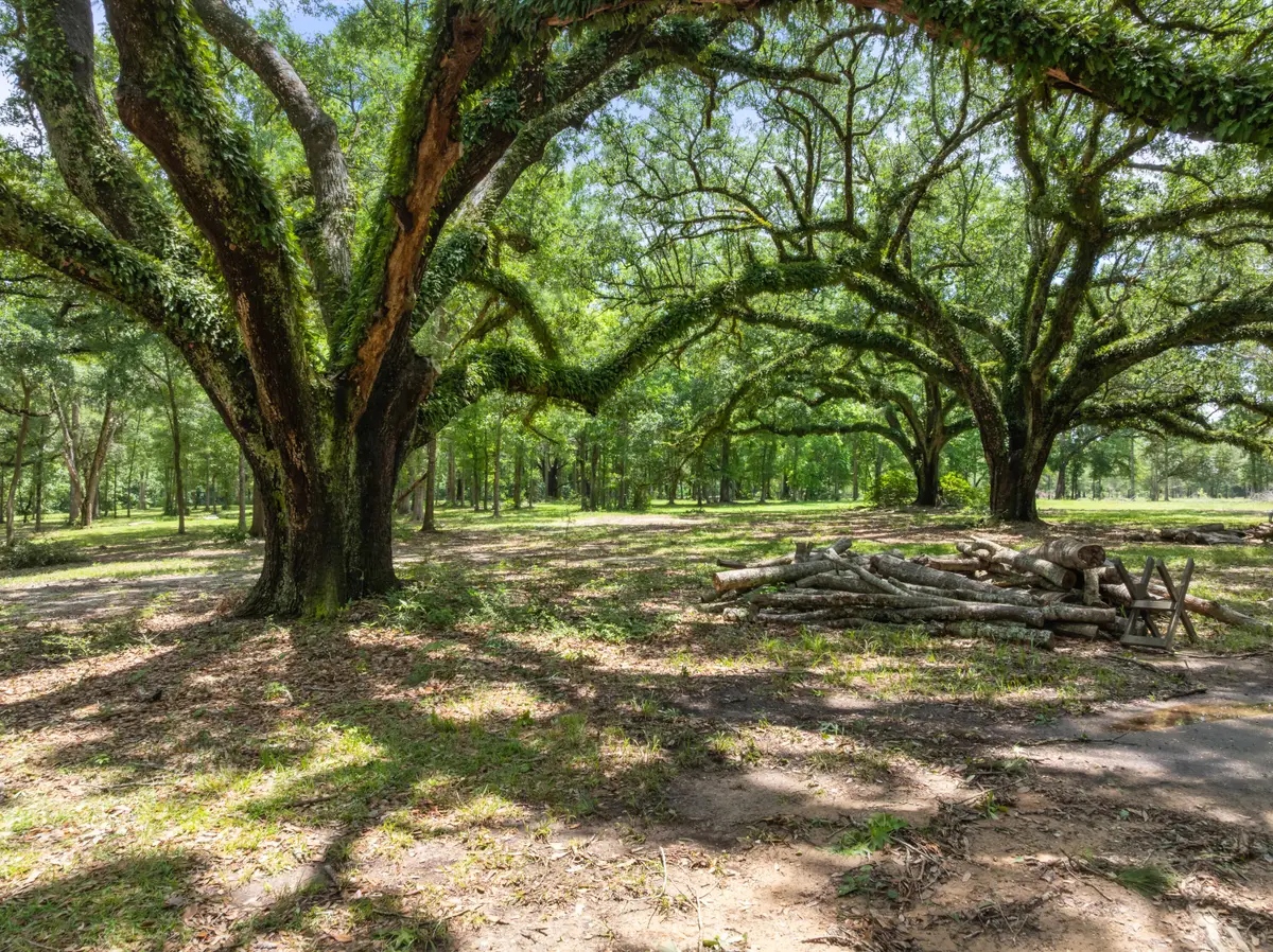 72 F Z Goss, Picayune, MS 39466 - #1