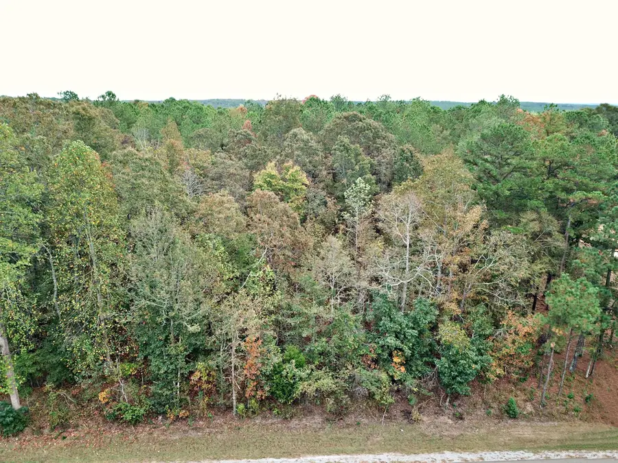 0000 Mississippi 15, Louin, MS 39476 - #3