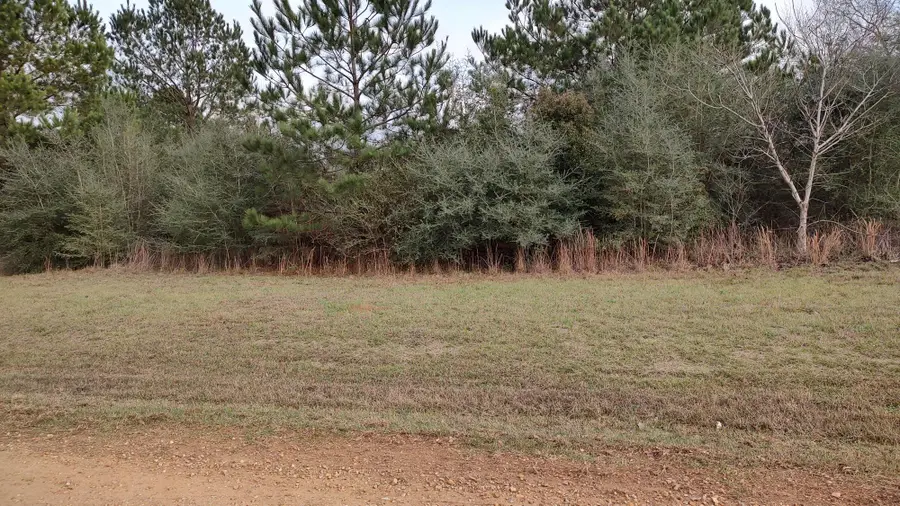 NHN N Resort Dr., Lumberton, MS 39455 - #3