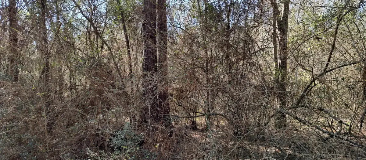 0 Pecan Dr., Lumberton, MS 39455 - #1