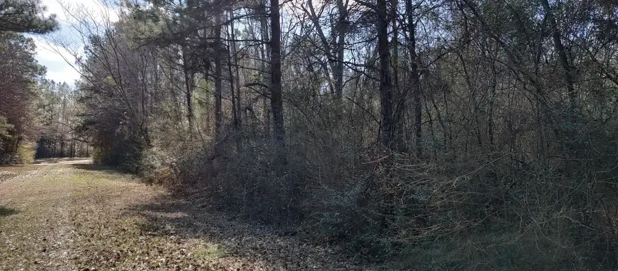 0 Pecan Dr., Lumberton, MS 39455 - #3