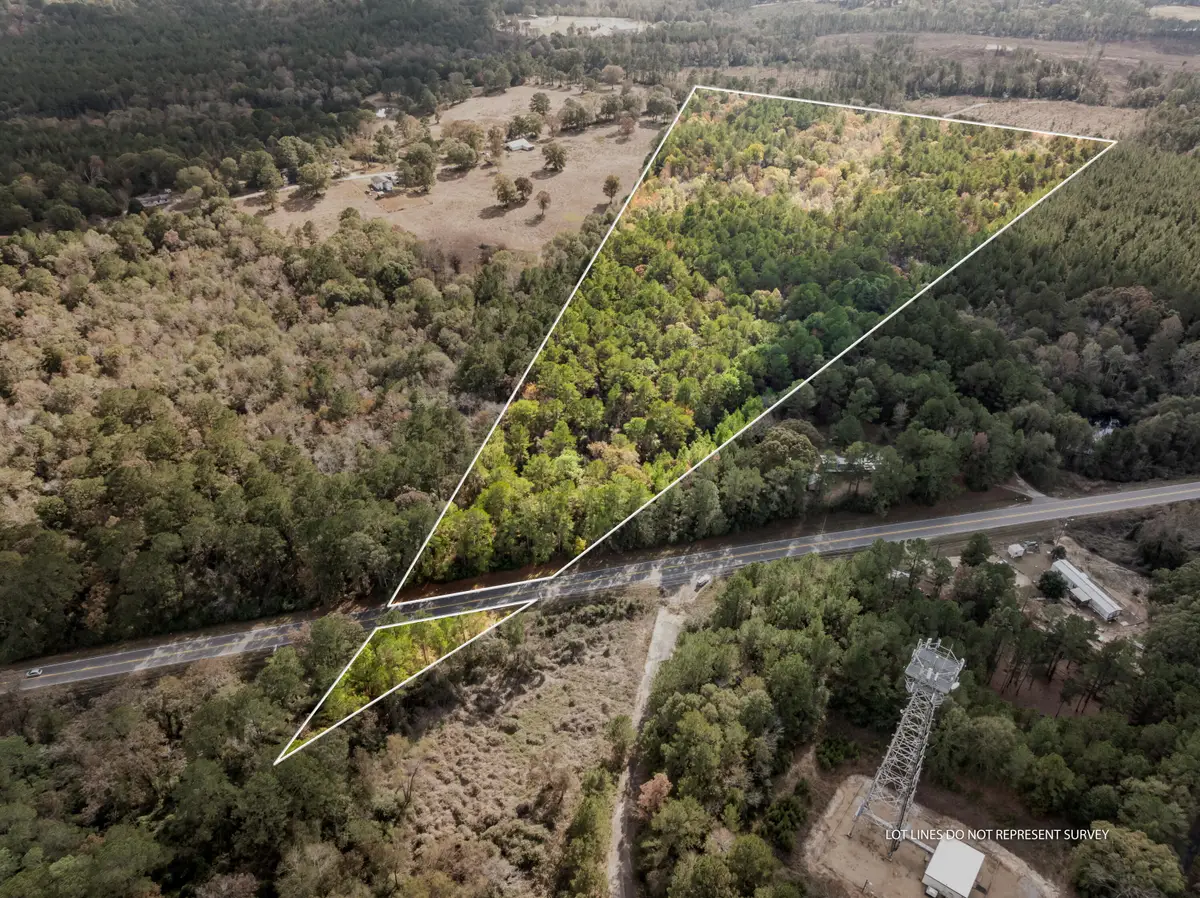 000 Hwy 11, Moselle, MS 39459 - #1