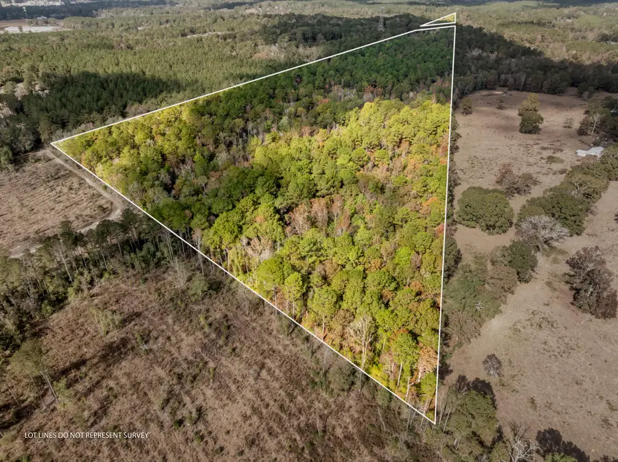 000 Hwy 11, Moselle, MS 39459 - #3