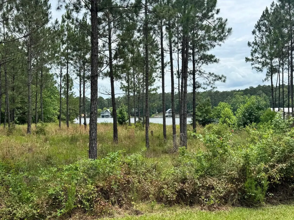 174 Ella (lot 4) Point, Lumberton, MS 39455 - #1