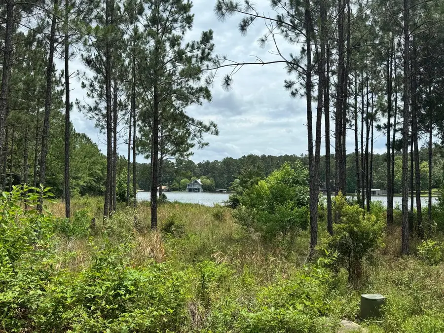 174 Ella (lot 4) Point, Lumberton, MS 39455 - #2