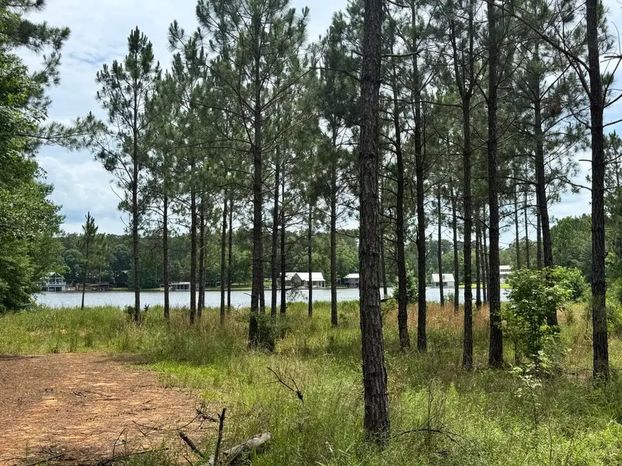 174 Ella (lot 4) Point, Lumberton, MS 39455 - #3