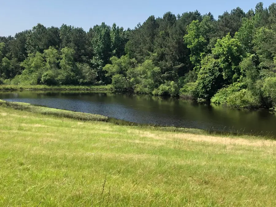 10 County Road 1521, Bay Springs, MS 39422 - #3