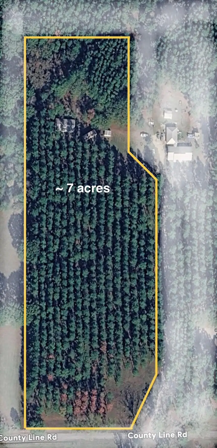 00 County Line, Petal, MS 39465 - #3