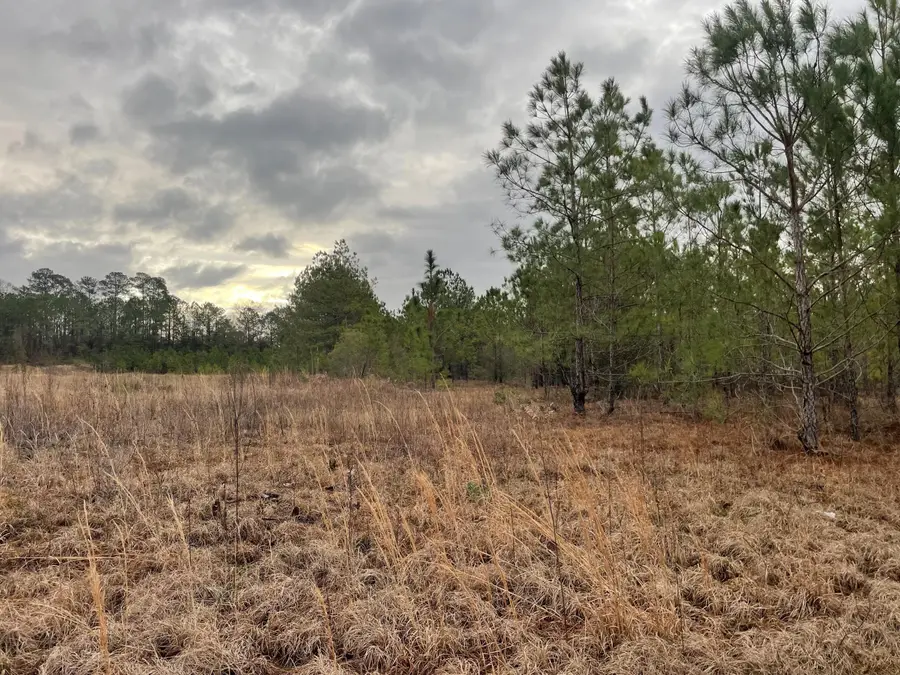 Lot 9 Sumrall Rd., Columbia, MS 39429 - #3