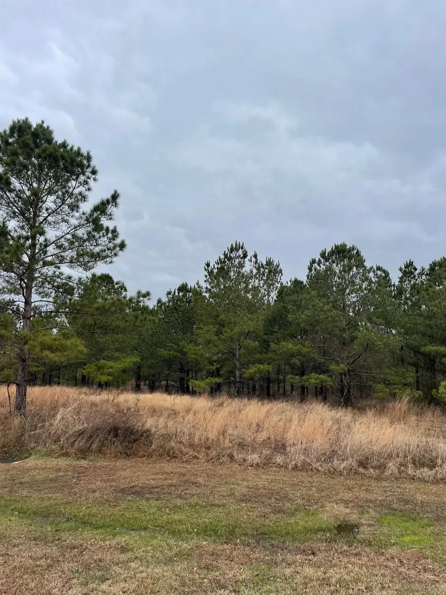Lot 13 Sumrall Rd., Columbia, MS 39429 - #3