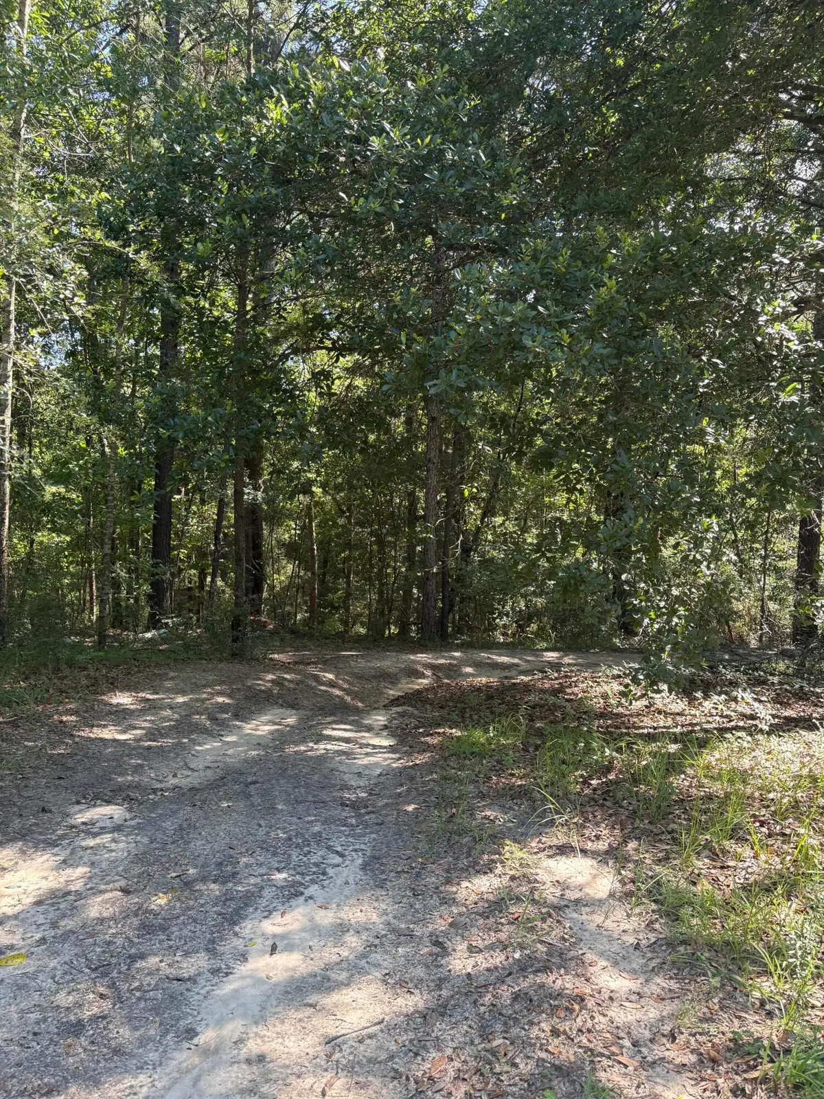 00 J B Horne Rd., Hattiesburg, MS 39401 - #1