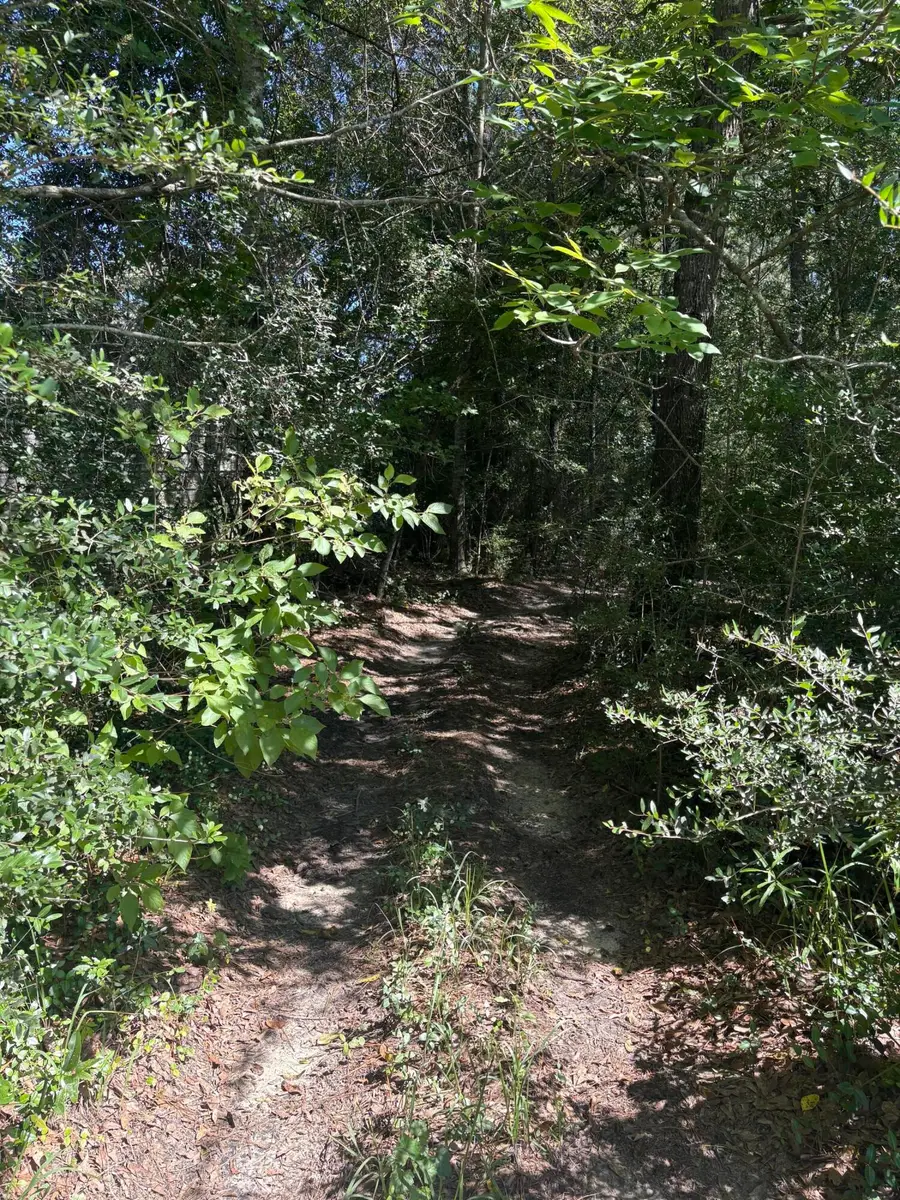 00 J B Horne Rd., Hattiesburg, MS 39401 - #2