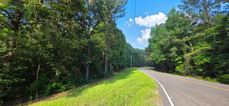 0 Turkey Fork Rd., Richton, MS 39476 - #3