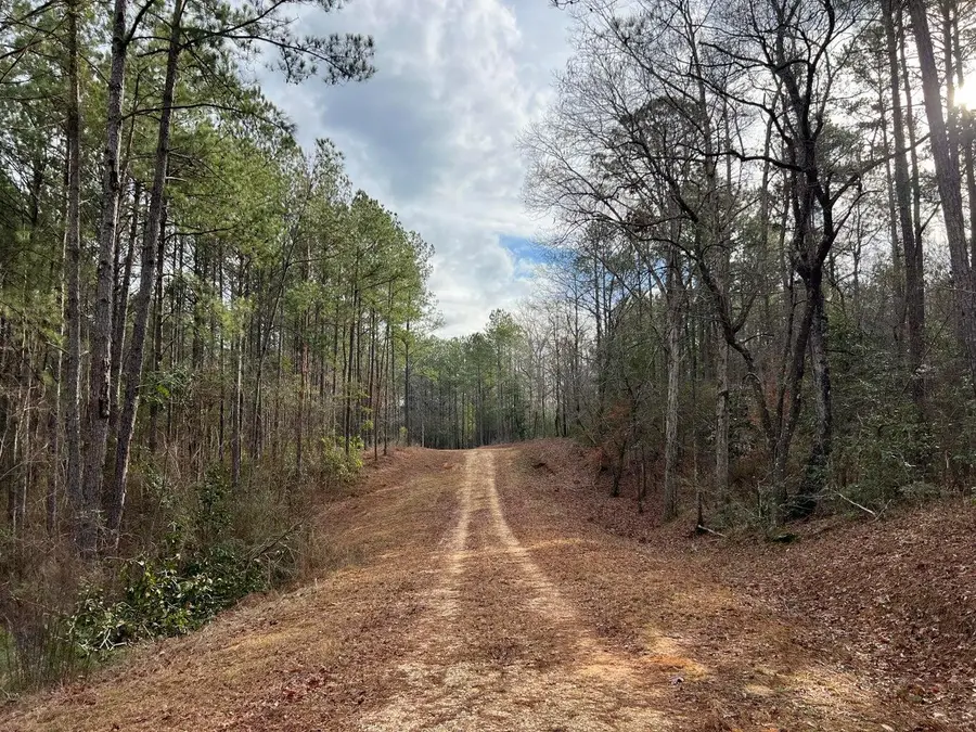 107 Fairview Dr., Petal, MS 39465 - #3