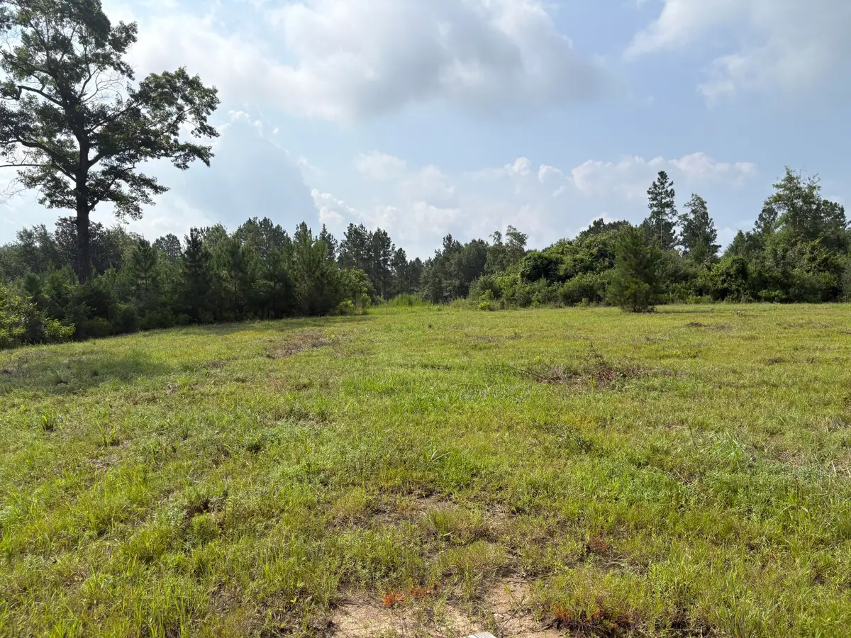 00 E Dexter Centerville, Tylertown, MS 39667 - #1