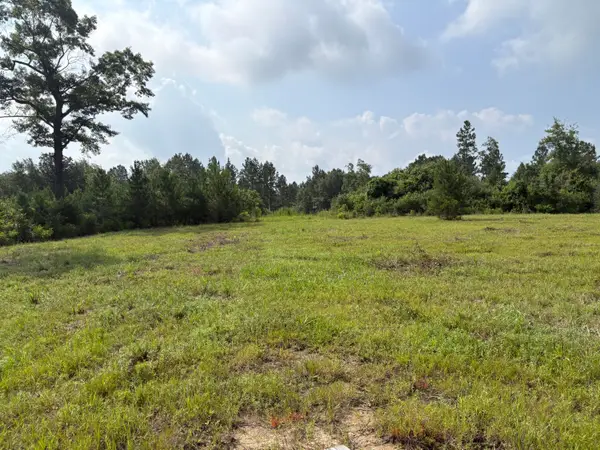 00 E Dexter Centerville, Tylertown, MS 39667