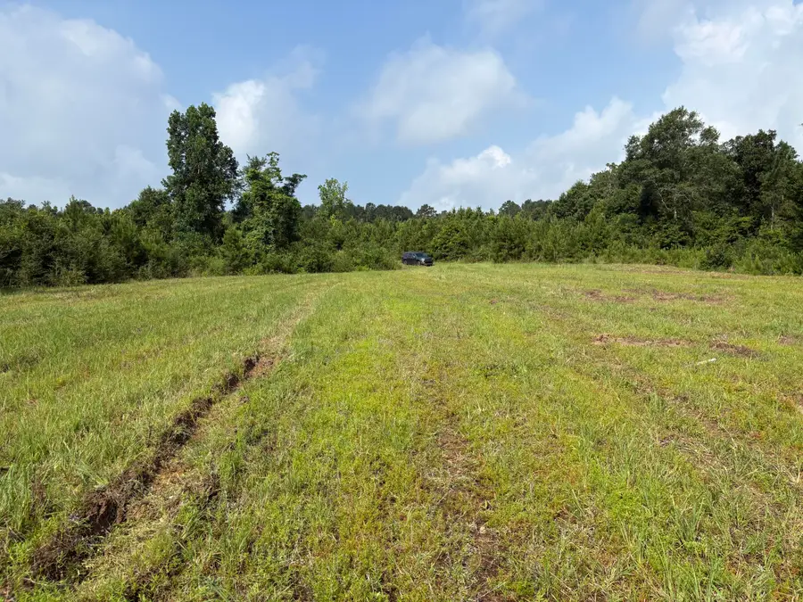 00 E Dexter Centerville, Tylertown, MS 39667 - #2