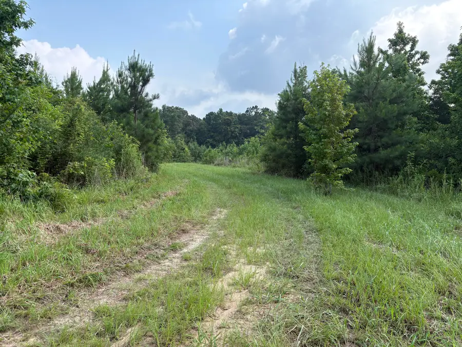 00 E Dexter Centerville, Tylertown, MS 39667 - #3