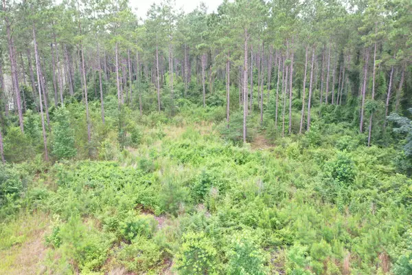 63 Dogwood Hills Dr., Laurel, MS 39443