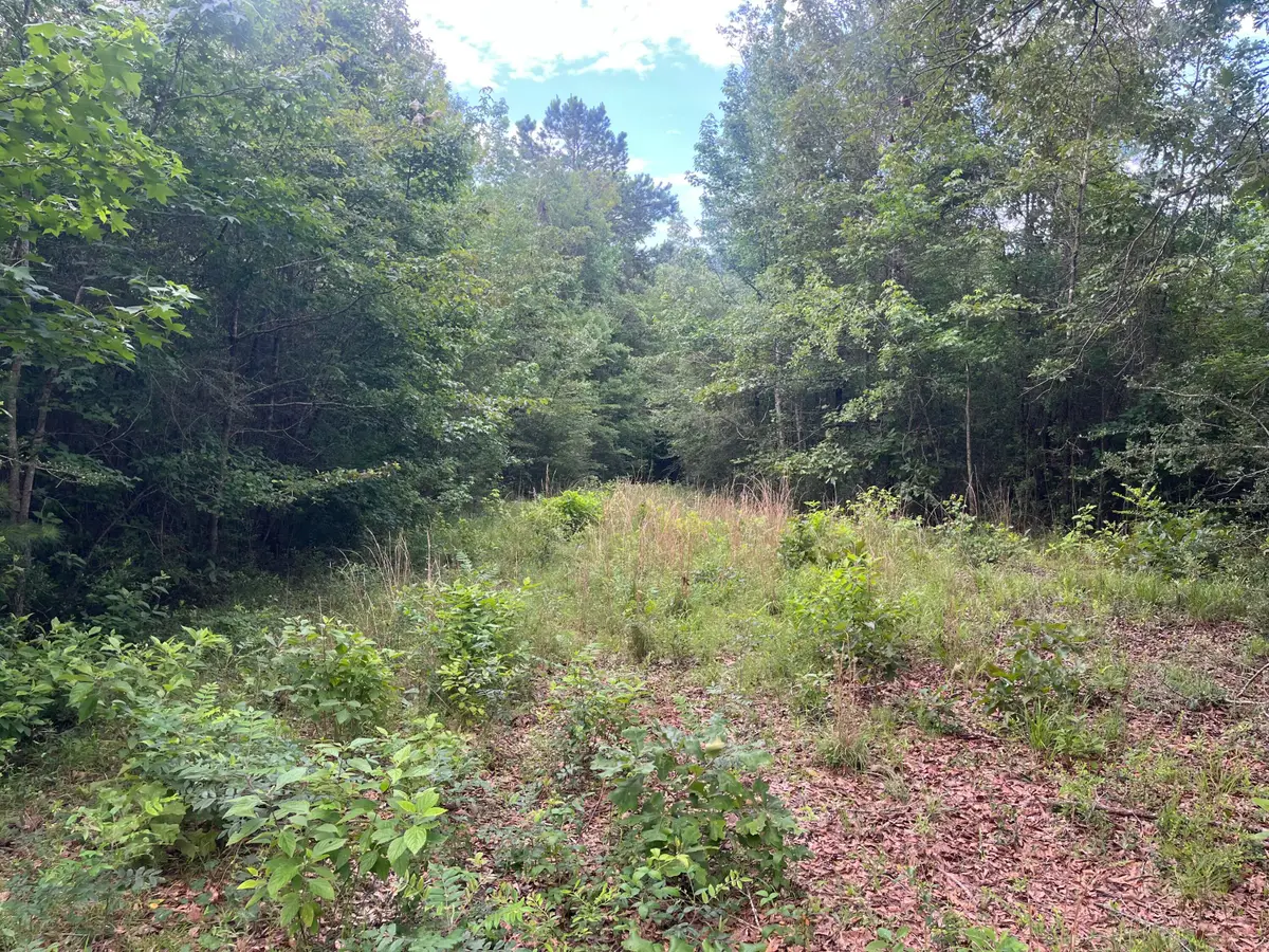 10 Mol Ac Betty Sanderson Rd., Waynesboro, MS 39367 - #1