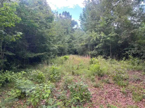 10 Mol Ac Betty Sanderson Rd., Waynesboro, MS 39367