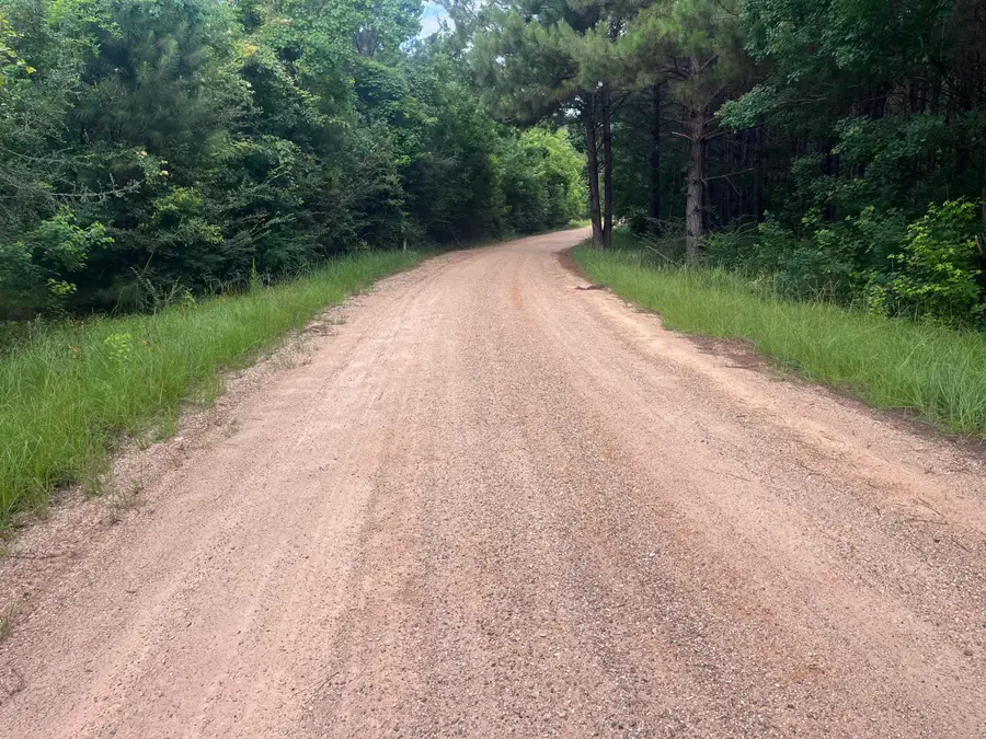 10 Mol Ac Betty Sanderson Rd., Waynesboro, MS 39367 - #2