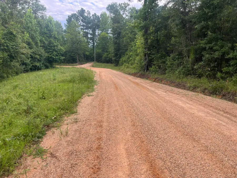 10 Mol Ac Betty Sanderson Rd., Waynesboro, MS 39367 - #3