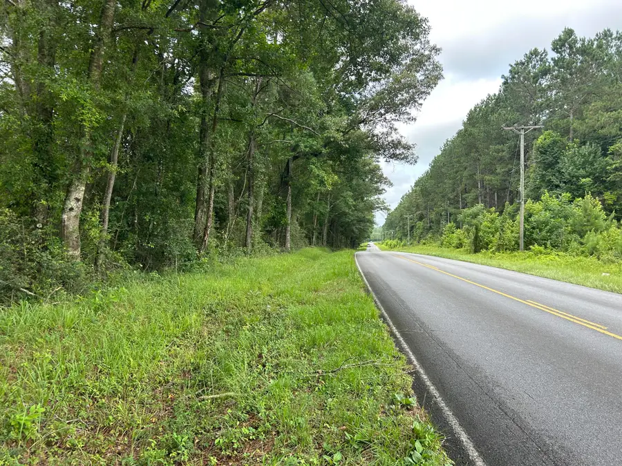 000 Tuckers Crossing Rd., Ellisville, MS 39437 - #2