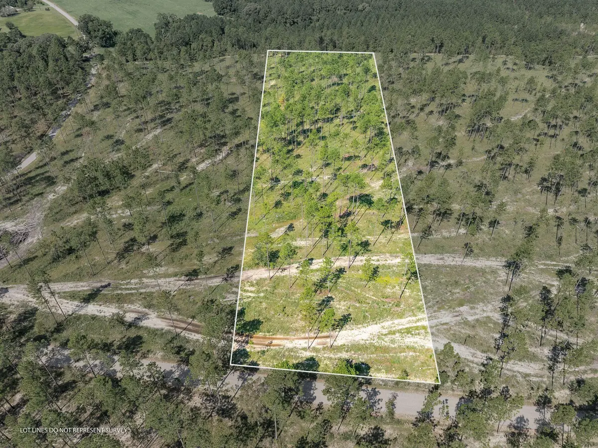 7 Ac #4 Courtney Rd., Lumberton, MS 39455 - #1