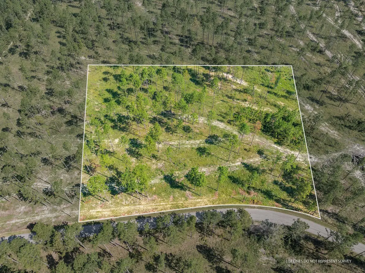 3 Ac #2 Crown Zellerback Rd., Lumberton, MS 39455 - #1
