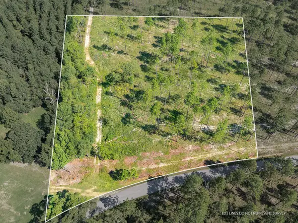 3 Ac #3 Crown Zellerback Rd., Lumberton, MS 39455
