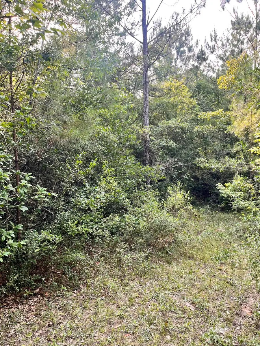 27 Roy, Lumberton, MS 39455 - #2