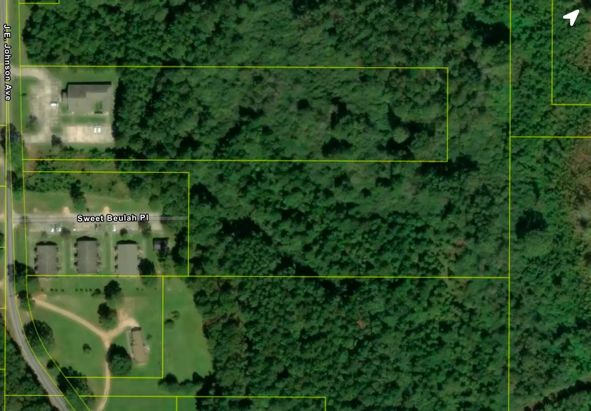 0000 Blacktop Rd., Prentiss, MS 39474 - #1