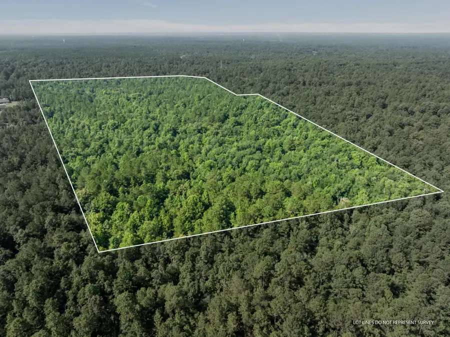 68.8+/- Ac Eastabuchie, Petal, MS 39465 - #2