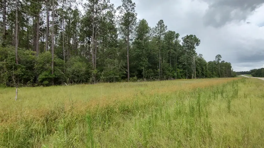 NHN Ms-43, Picayune, MS 39466 - #2