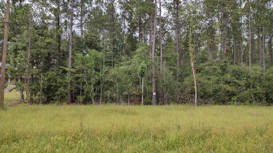 NHN Ms-43, Picayune, MS 39466 - #3