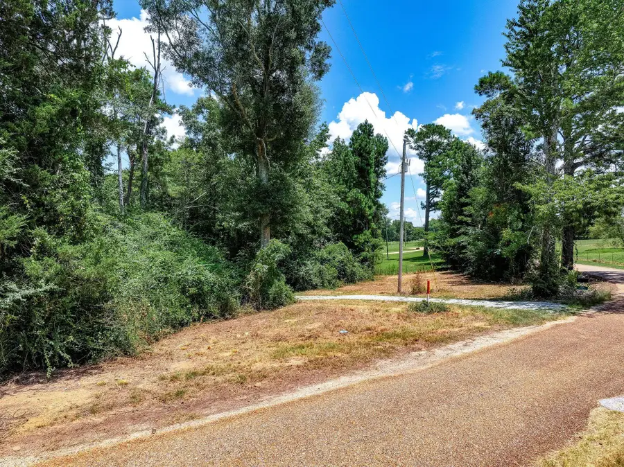 134 Jim Turner Rd., Mendenhall, MS 39114 - #2