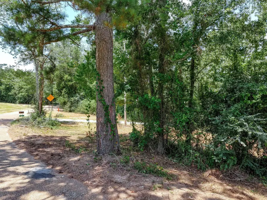 134 Jim Turner Rd., Mendenhall, MS 39114 - #3