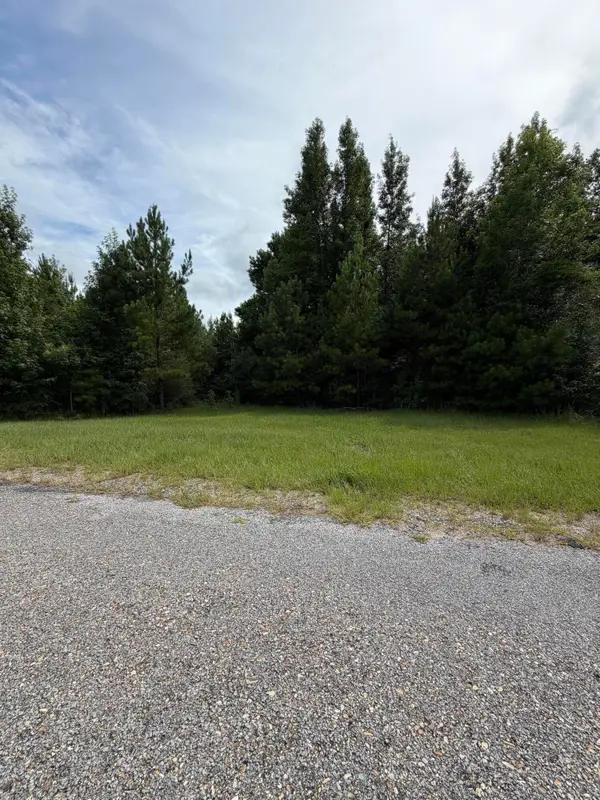 Parcel 1 R Thompson, Lumberton, MS 39455