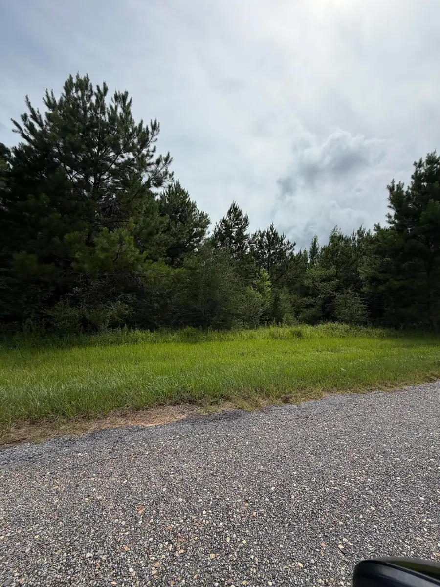 Parcel 1 R Thompson, Lumberton, MS 39455 - #3