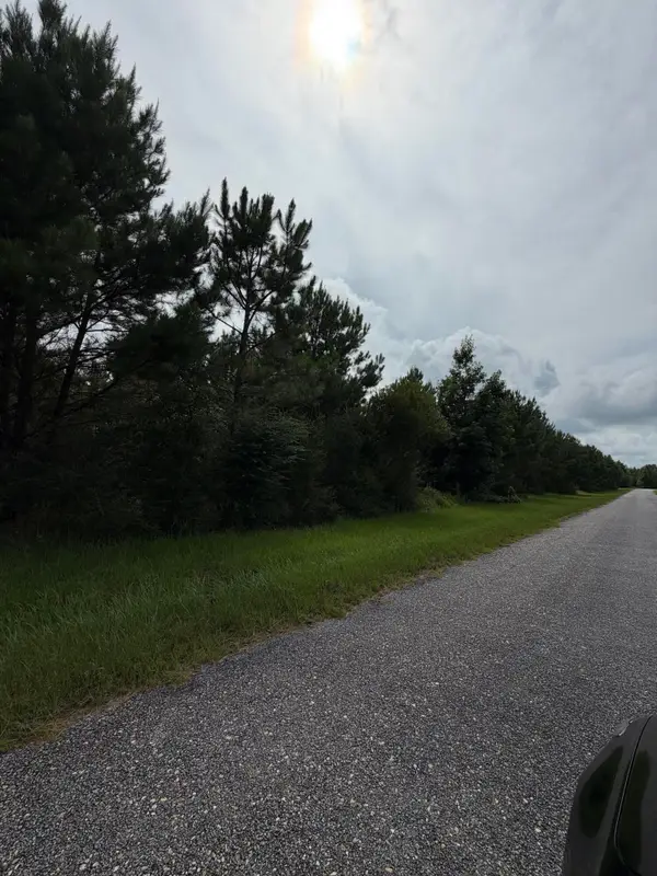 Parcel 2 R Thompson, Lumberton, MS 39455