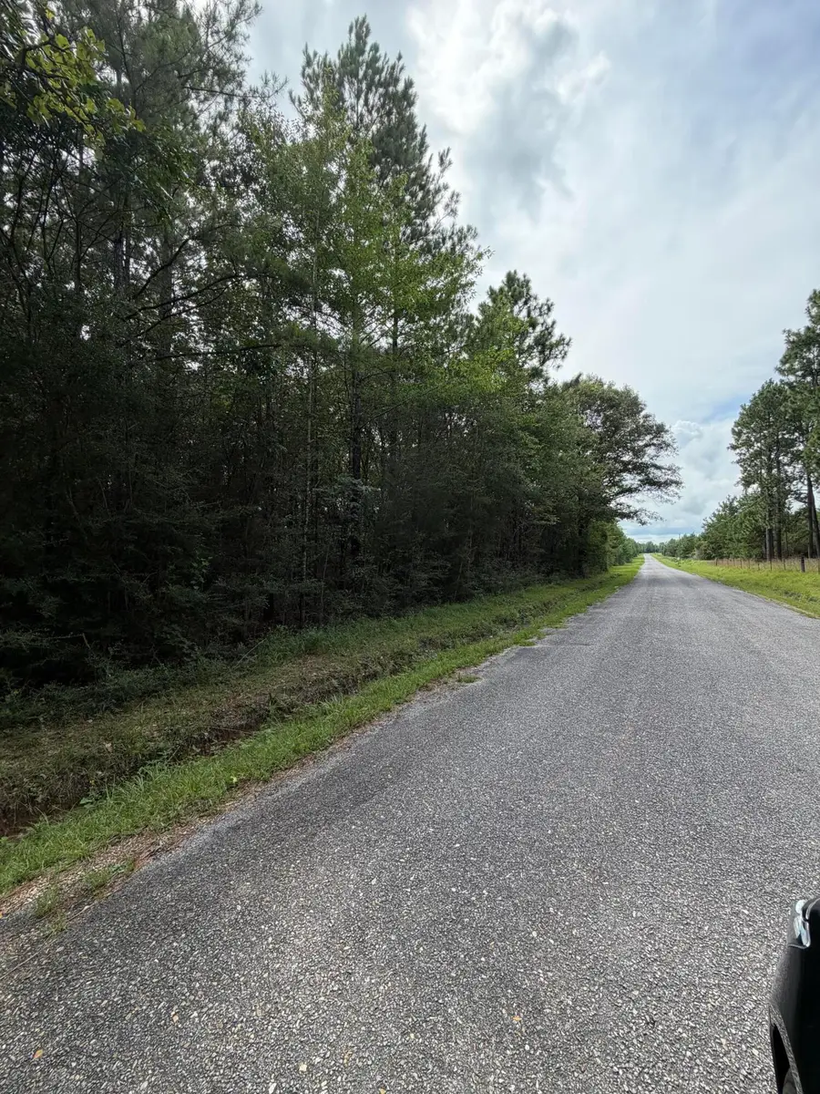 Parcel 2 R Thompson, Lumberton, MS 39455 - #3