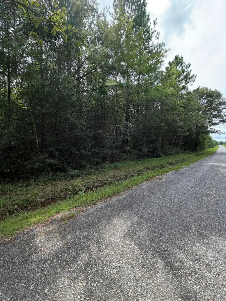 Parcel 3 R Thompson, Lumberton, MS 39455 - #3