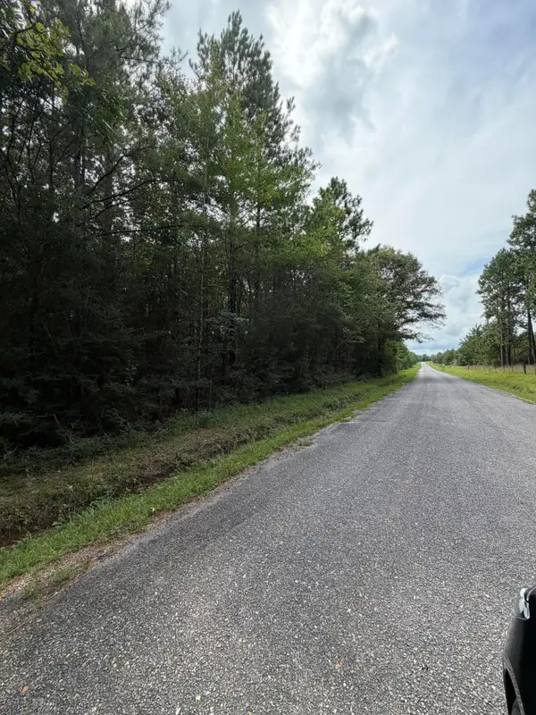 Parcel 4 R Thompson, Lumberton, MS 39455