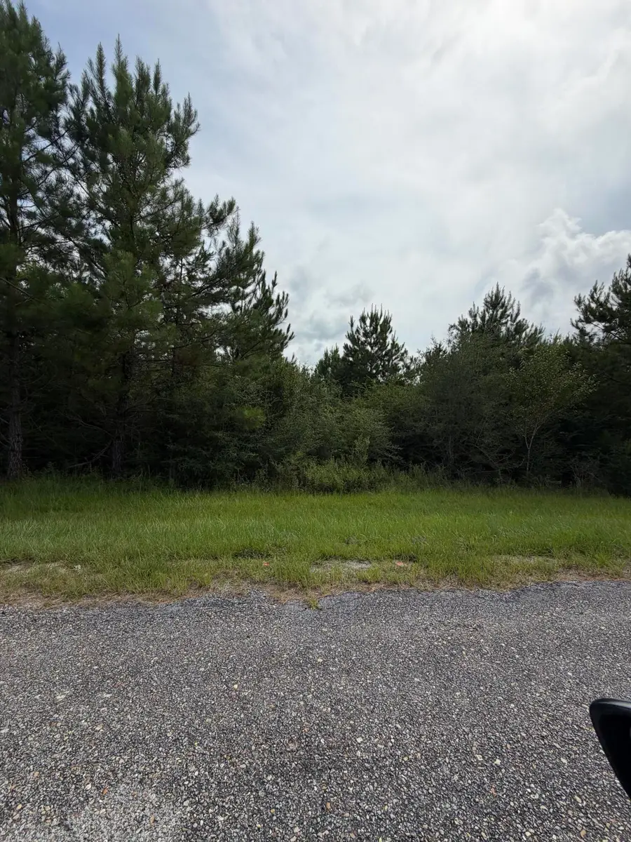 Parcel 4 R Thompson, Lumberton, MS 39455 - #2