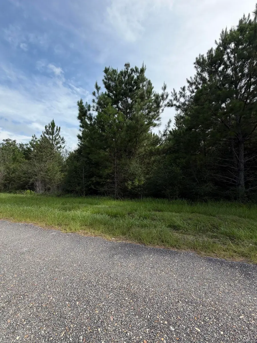 Parcel 4 R Thompson, Lumberton, MS 39455 - #3